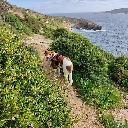 Bed & Breakfast Encanto Vegetarian Xagħra