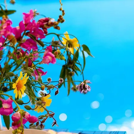 Encanto Vegetarian Bed & Breakfast Xagħra