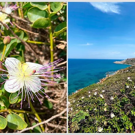 Encanto Vegetarian Bed & Breakfast Xagħra
