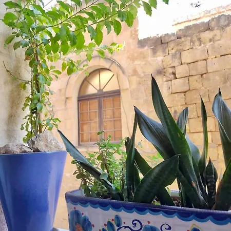 Bed & Breakfast Encanto Vegetarian Bed & Breakfast Xaghra