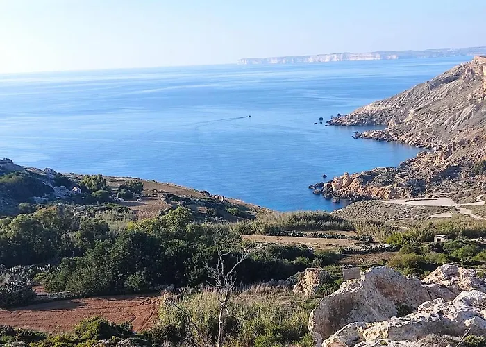 Encanto Vegetarian 3*