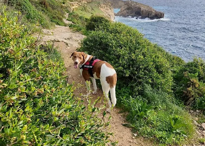 فندق مبيت وإفطار Encanto Vegetarian Xagħra