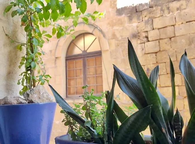 فندق مبيت وإفطار Encanto Vegetarian Xagħra