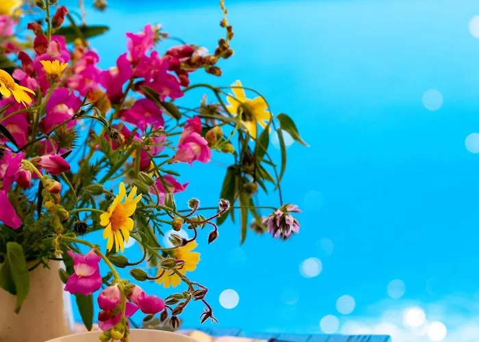 Encanto Vegetarian فندق مبيت وإفطار Xagħra