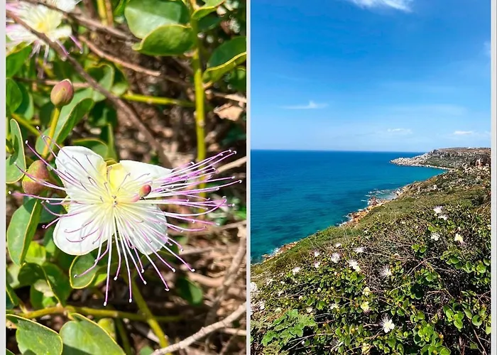 Encanto Vegetarian فندق مبيت وإفطار Xagħra